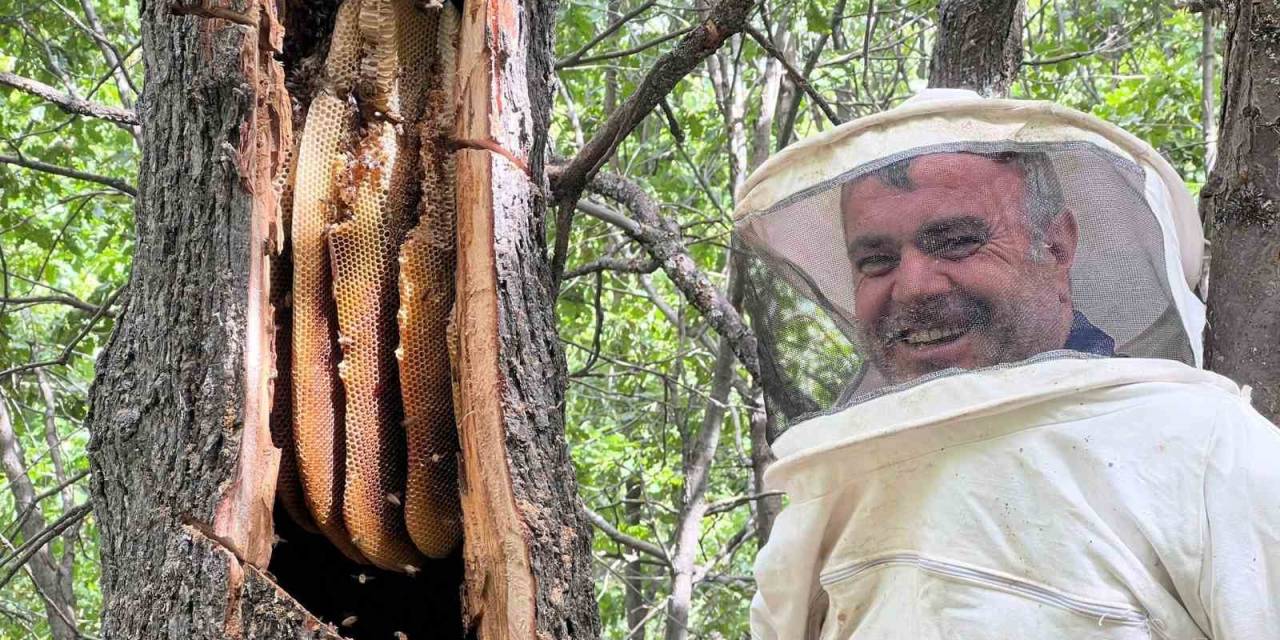 Bingöl’de ’bal Avcıları’ Arı Takibi Yaparak Doğal Bala Ulaşıyor