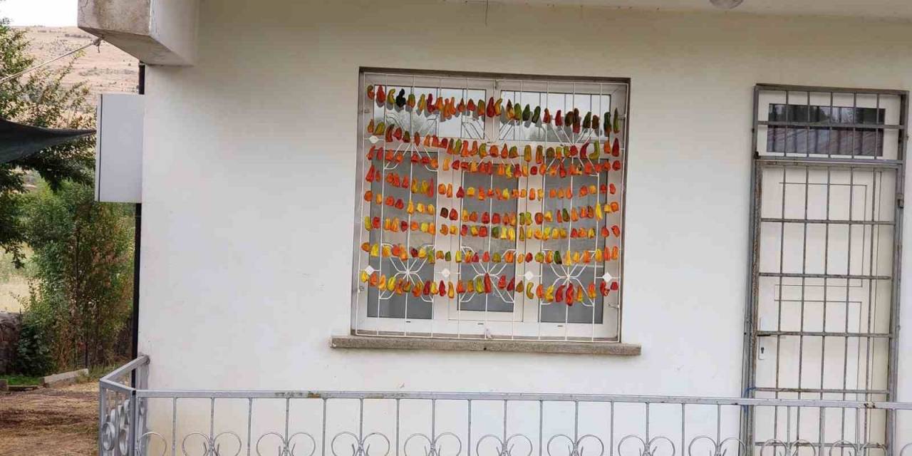 Elazığ’da Kadınların Kış Hazırlığı Renkli Görüntüler Oluşturdu