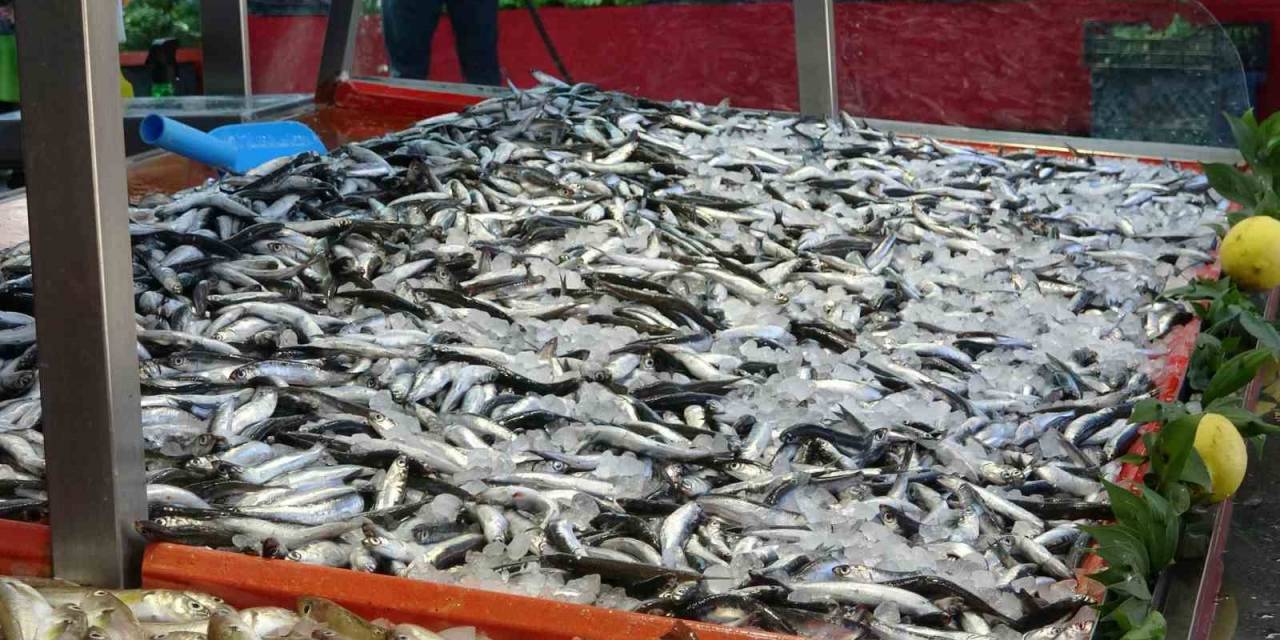 Bolu’da Hamsinin Fiyatı 40 Lira Birden Düştü