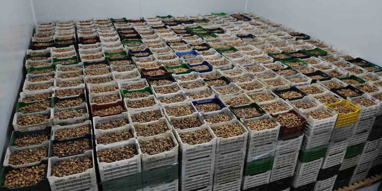 Tariş Kuru İncir Fiyatlarını Güncelledi