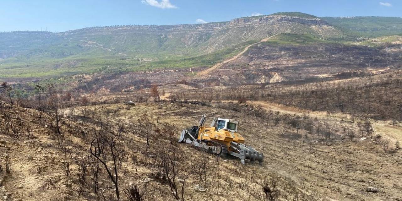 Gülnar’da Yanan Ormanlık Alanlarda Ağaçlandırma Çalışmalarına Başlandı