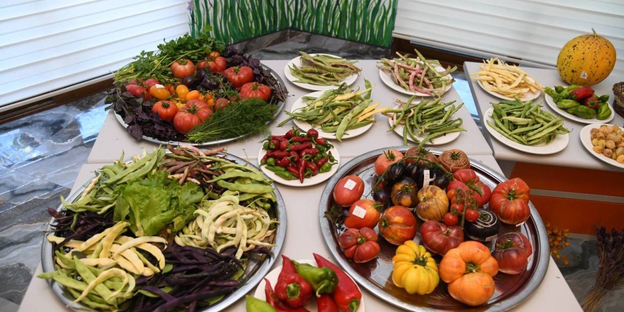 Pursaklar’ın Ata Bahçesi’nde Bereketli Hasat