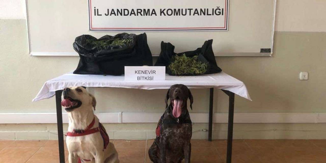 Edirne’de Ticari Taksideki Yolcunun Çantasından Uyuşturucu Çıktı
