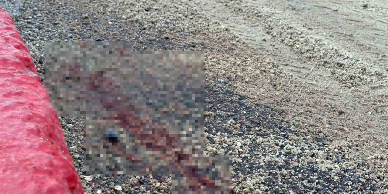 İett Otobüsü İle Motosiklet Çarpıştı: Hamile Kadın Aracın Altında Kalarak Ağır Yaralandı