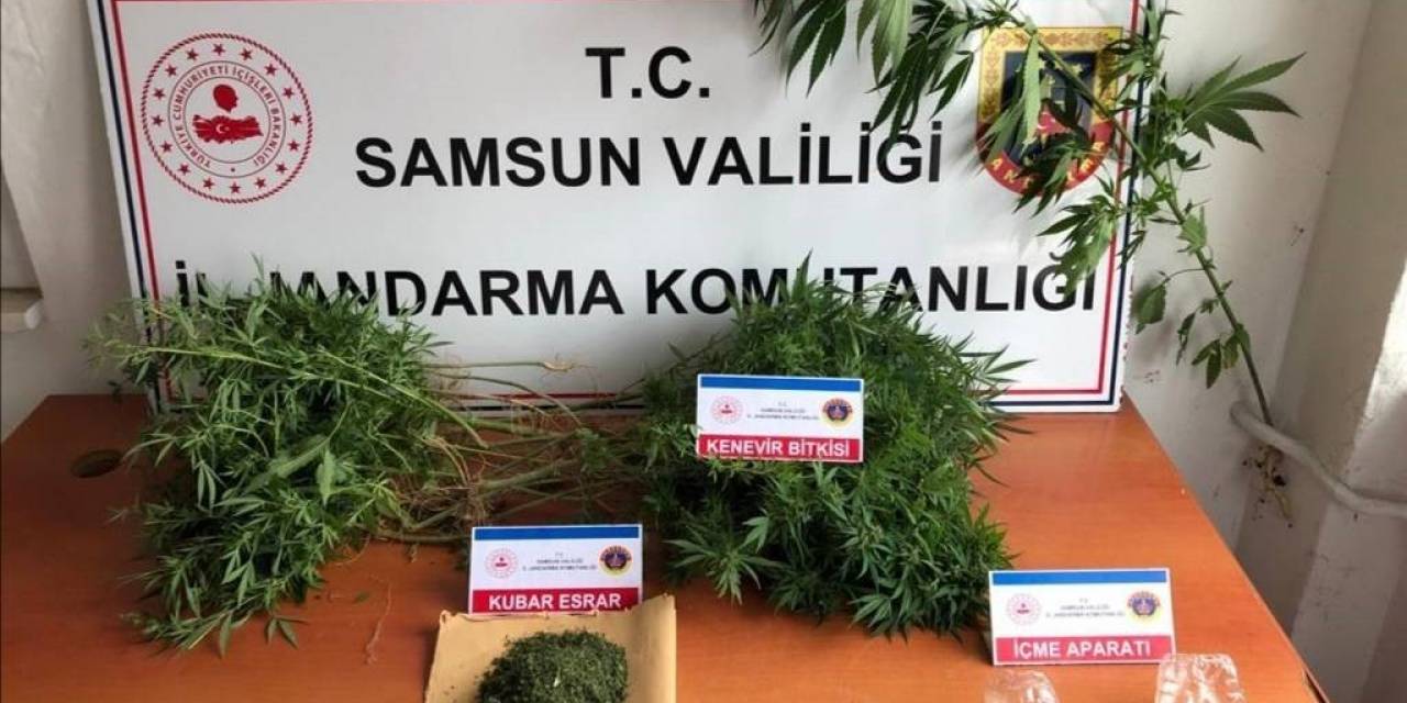 Samsun’da Jandarmadan Denetim: Çok Sayıda Suçlu Yakalandı, Uyuşturucu Madde Ele Geçirildi