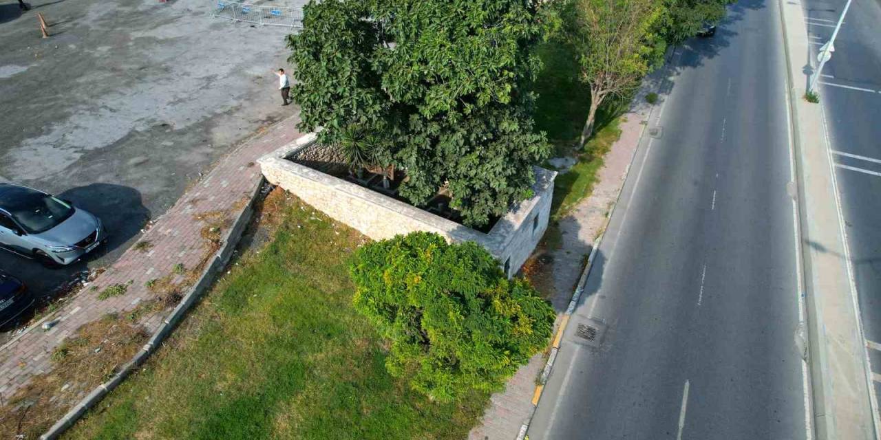 İstanbul’un Fethinde Şehit Olan Askerlerin Kabirlerinin Bulunduğu Türbe Çöplüğe Döndü