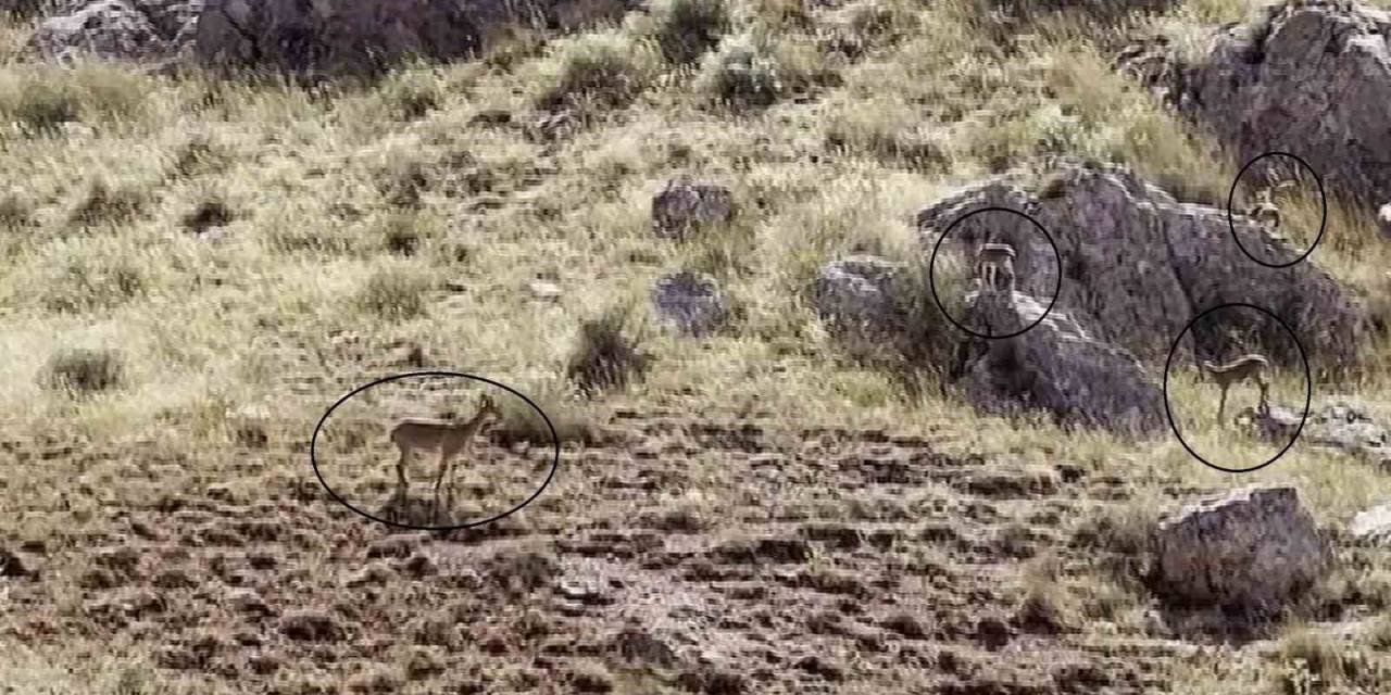 "Dünyanın En Güzel Manzarası" Diyerek Kayda Aldı