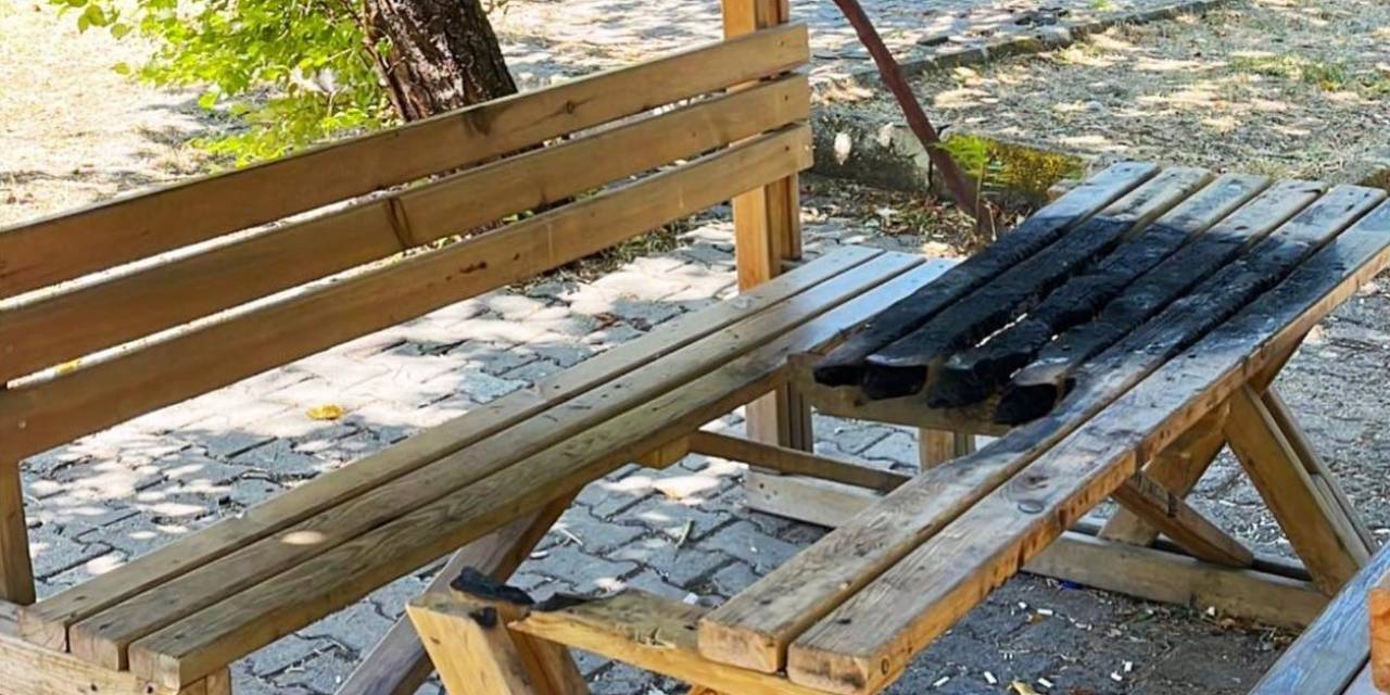 Gediz’de Kamelyalara Zarar Veren Kişi Veya Kişiler Tepki