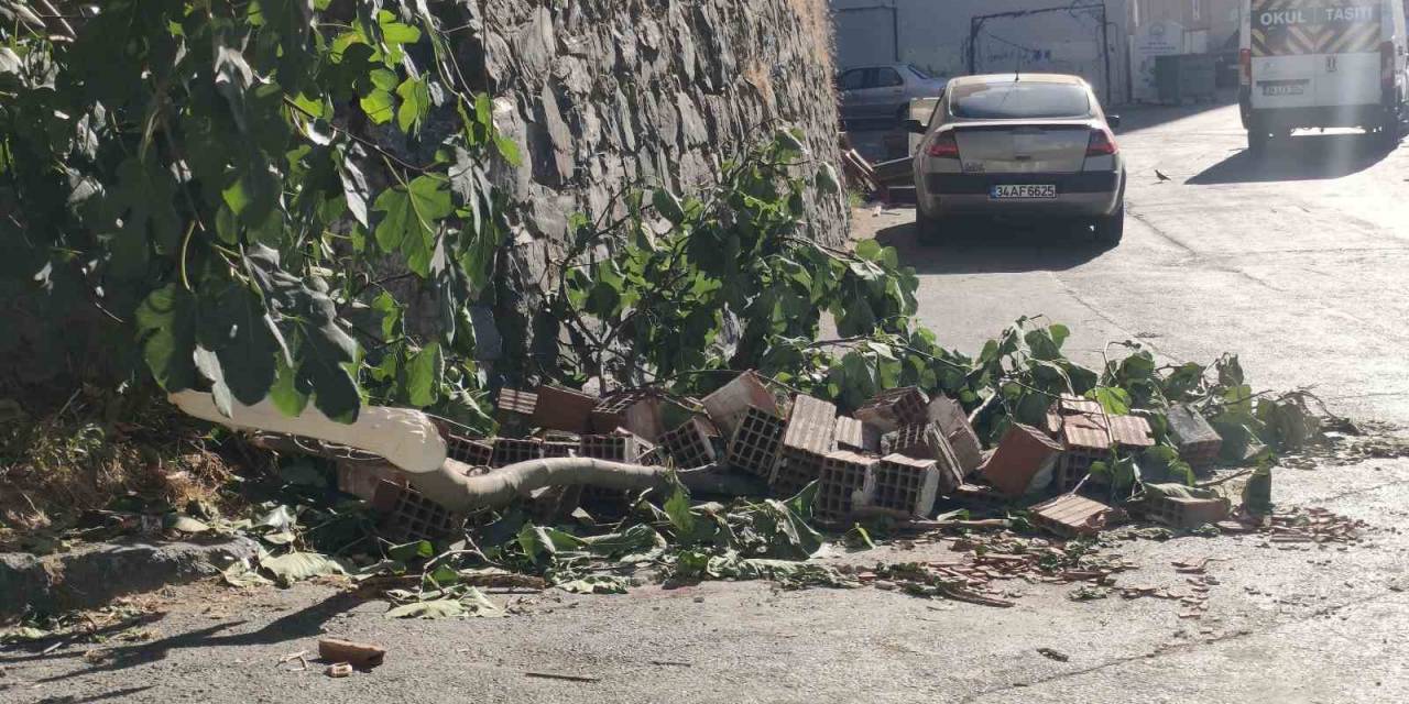 Kağıthane’de 13 Yaşındaki Kız İncir Toplarken Canından Oluyordu