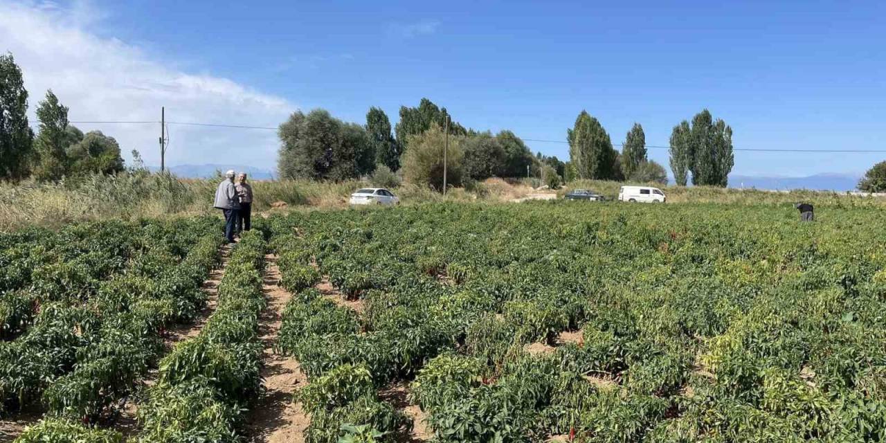 Beyşehir’de Çiftçiler Ürün Zararlılarına Karşı Bilgilendiriliyor