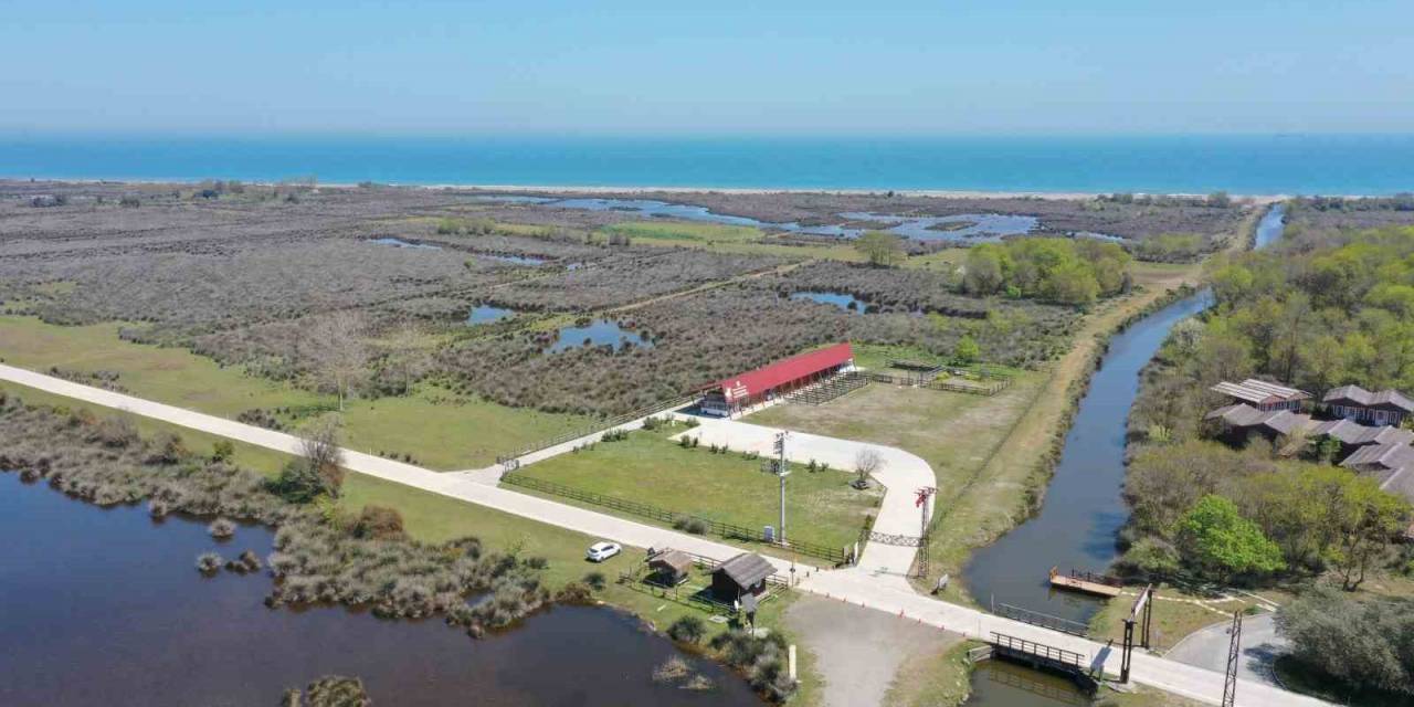 Kuş Cenneti’ni Yaz Döneminde 50 Bin Kişi Ziyaret Etti