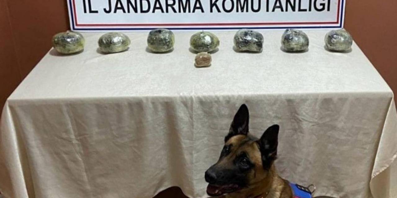 Siirt’te Peynir Bidonuna Gizlenmiş Uyuşturucu Ele Geçirildi