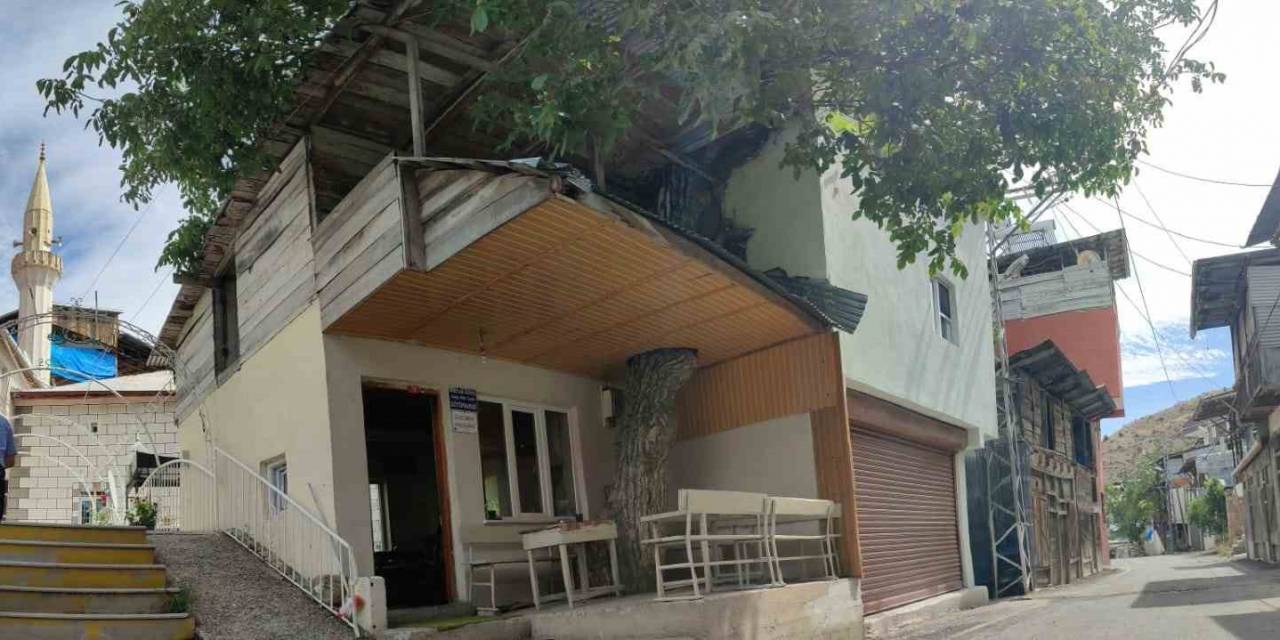 Ceviz Ağacı Kütüphanenin Çatısının İçinden Yükseliyor, Toplanan Cevizler Köyün Ortak Giderleri İçin Satılıyor