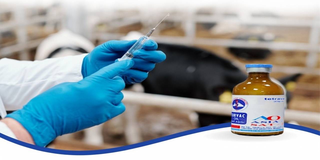 Üreticilere Şap Aşısı Uyarısı