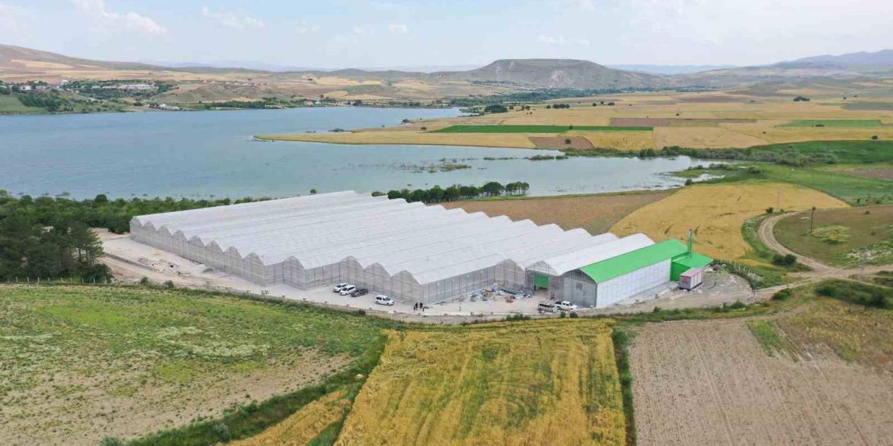 Jeotermal Serada ’topraksız Tarım’ Başladı: Yaz Kış Üretim Olacak