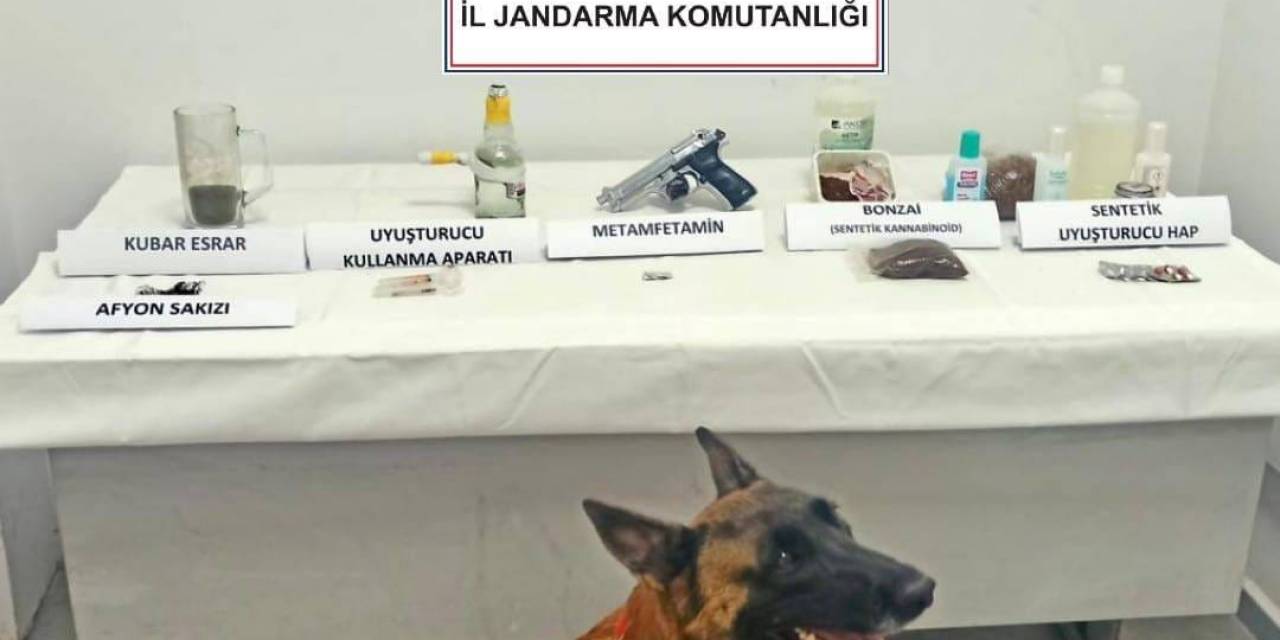 Jandarma Narkotik Köpeği ‘Limon’ İlk Operasyonunda Tespit Etti