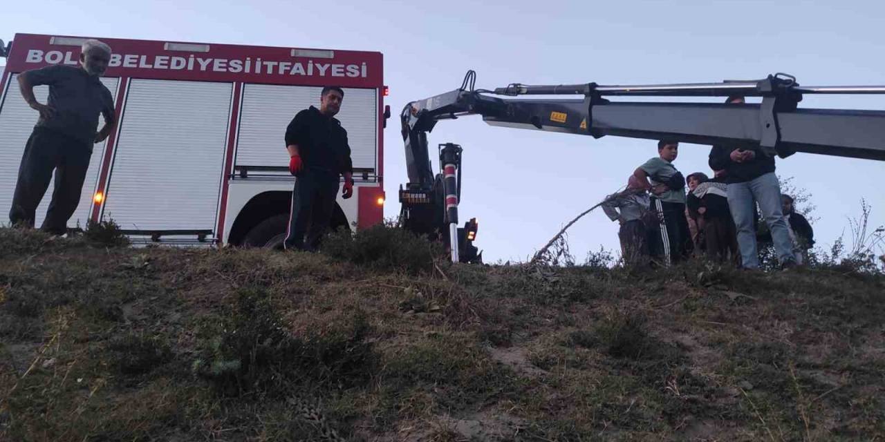 Derede Mahsur Kalan İnek, Vinç Yardımıyla Kurtarıldı