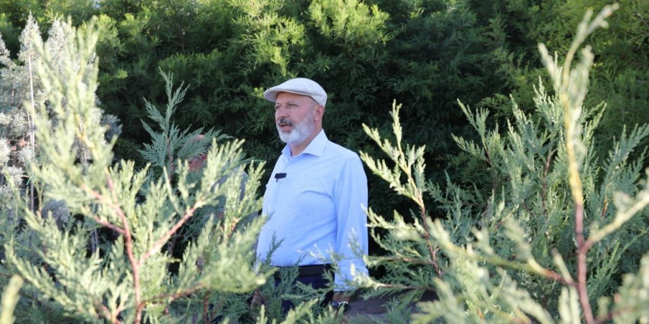 Başkan Çolakbayrakdar: "Yeşil Ve Daha Yeşil Bir Kayseri İçin Çalışıyoruz"
