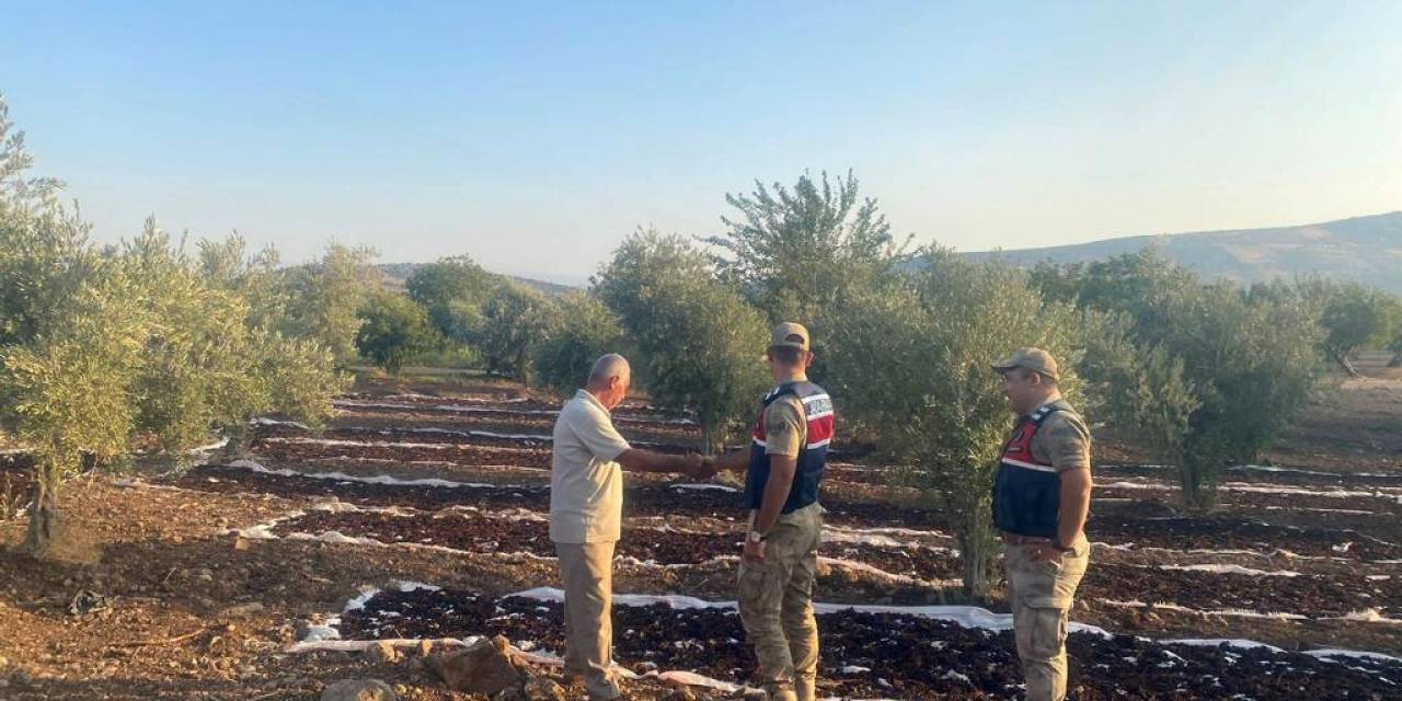 Jandarmadan Üzüm Nöbeti