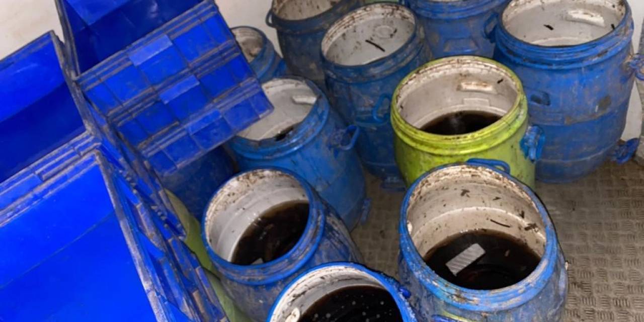 Jandarma Ayvacık’ta Yol Kontrollerinde Minibüs İçinde 550 Kilogram Canlı Deniz Patlıcanı Ele Geçirdi