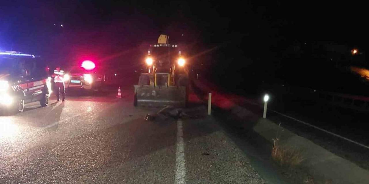 Yola Çıkan Eşek Kazaya Yol Açtı