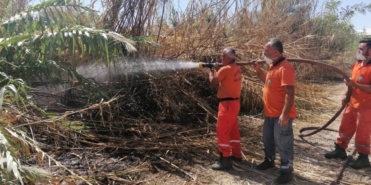Antalya’da Sazlık Yangınına Havadan Ve Karadan Hızlı Müdahale