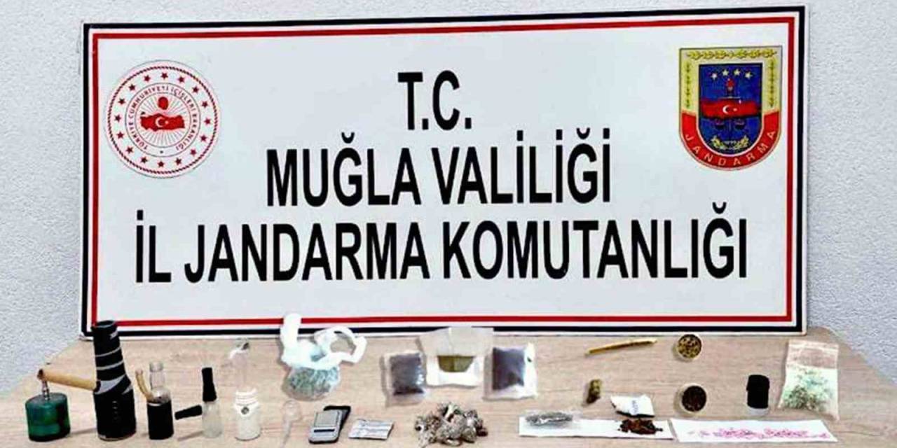 5 İlçede Uyuşturucu Operasyonu