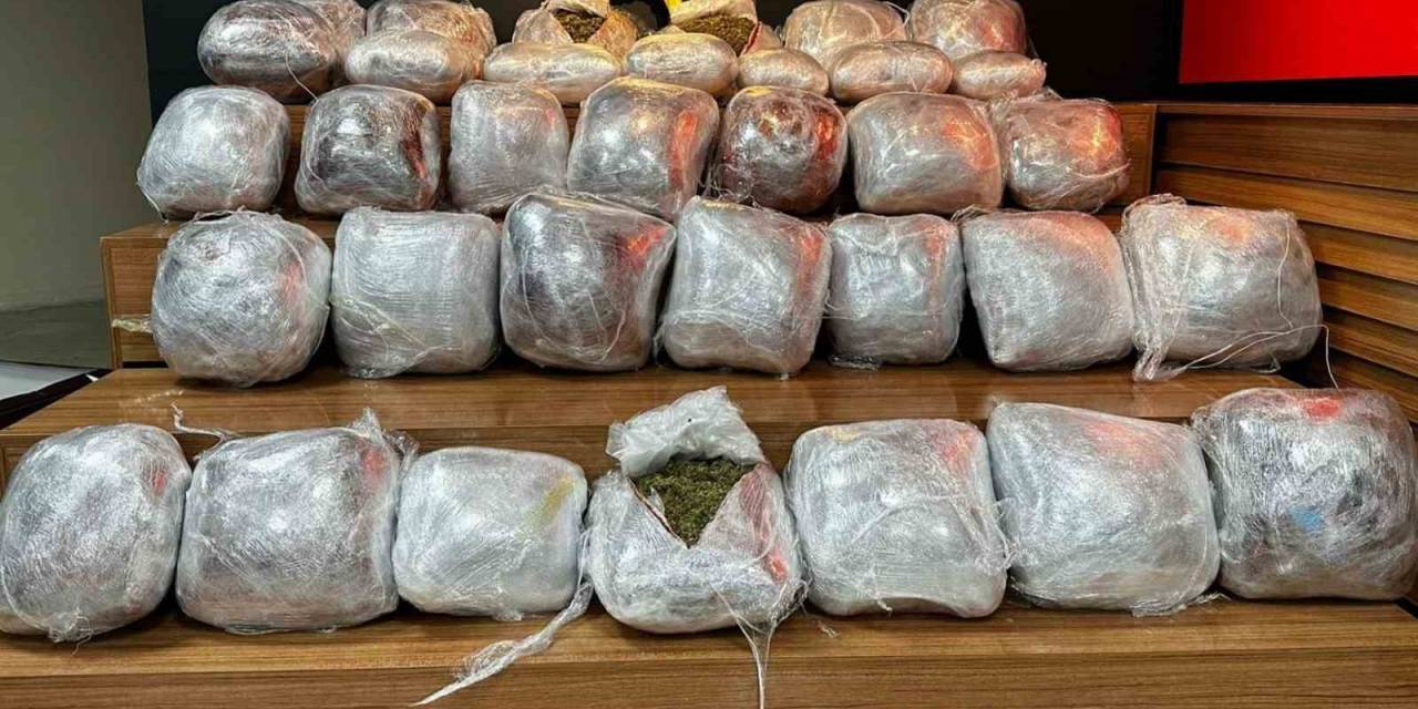 Şanlıurfa’da 64 Kilogram Skunk Ele Geçirildi: 11 Tutuklama