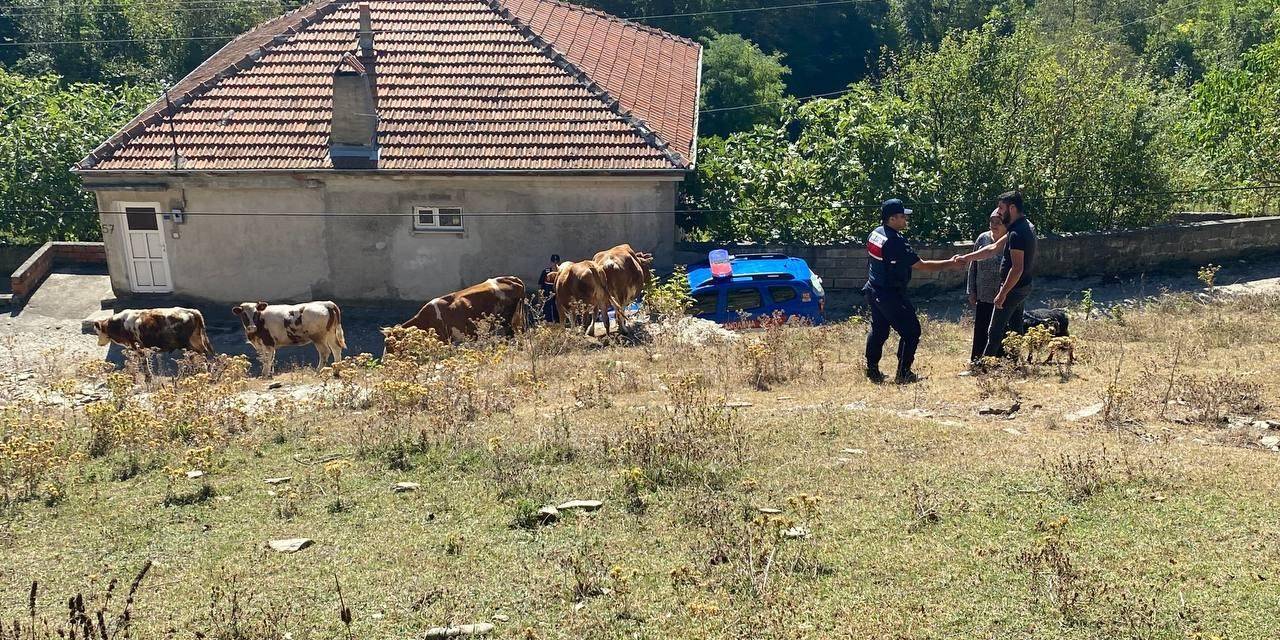 Vatandaşın Kayıp Hayvanlarını Jandarma Buldu