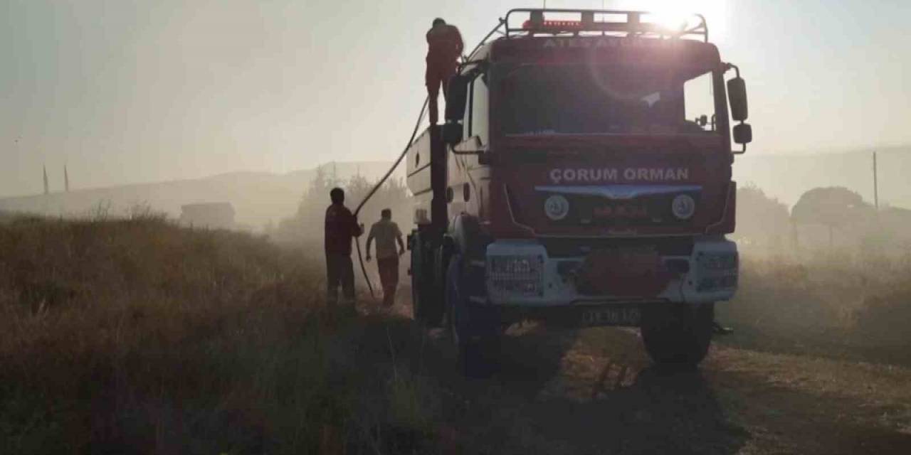 Çorum’da 15 Bin Dönüm Arazi Küle Döndü