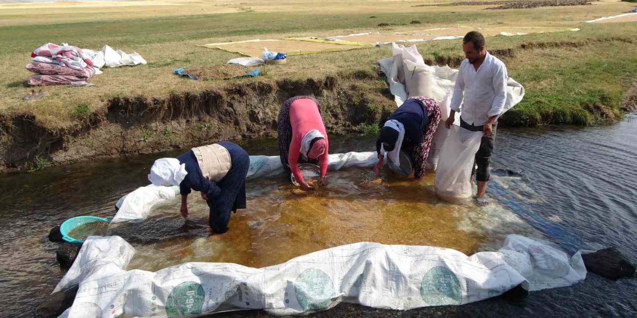 Buğdayın Tarladan Değirmene Yolculuğu