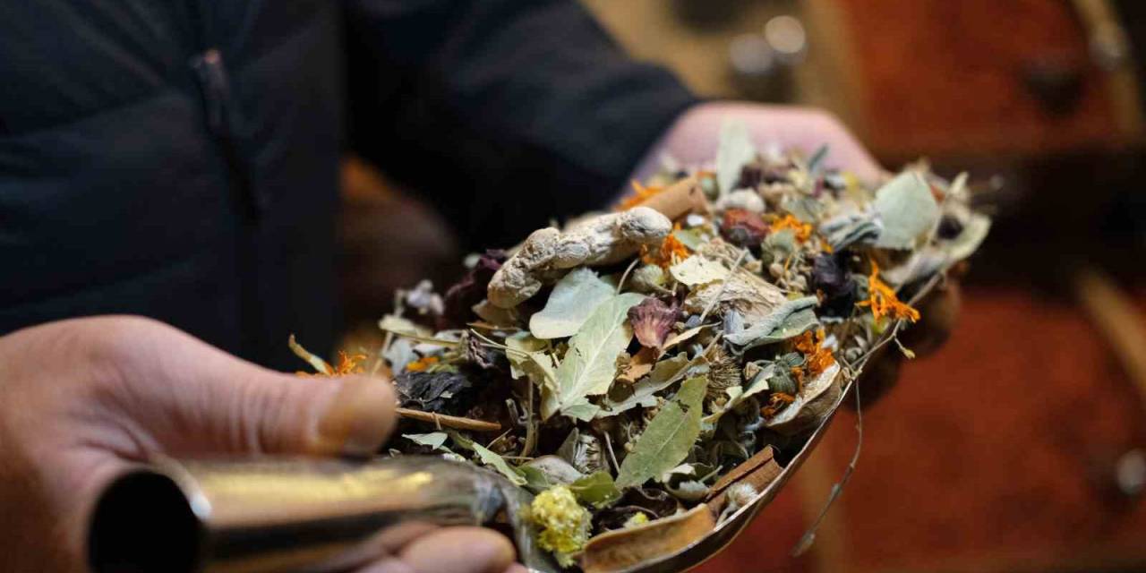 Aktarlarda Sonbahar Hareketliliği