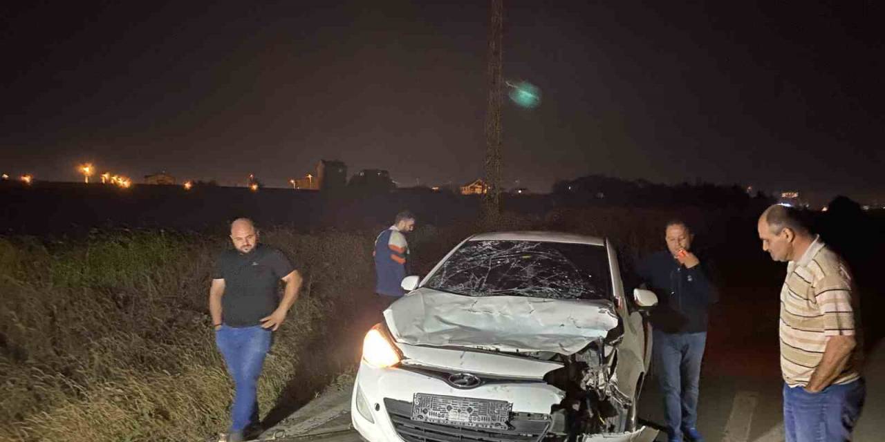 Tekirdağ’da Yürek Burkan Olay: Otomobilin Çarptığı Yaralı İnek, Çoban Kaçınca Sahipsiz Kaldı