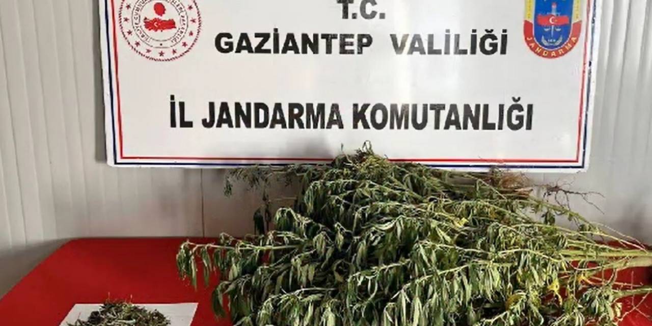 Gaziantep’te Uyuşturucu Operasyonlarında 295 Şüpheli Yakalandı