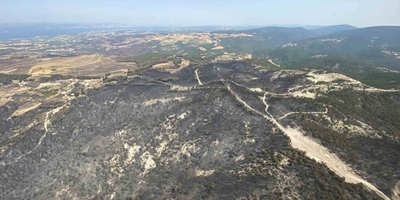 Çanakkale’de Bu Yıl 114 Orman Yangınında 4 Bin 260 Hektar Ormanlık Alan Zarar Gördü