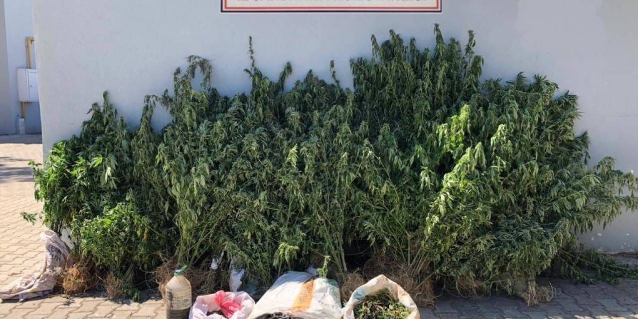 Tekirdağ’da 1 Kişi Uyuşturucudan Tutuklandı