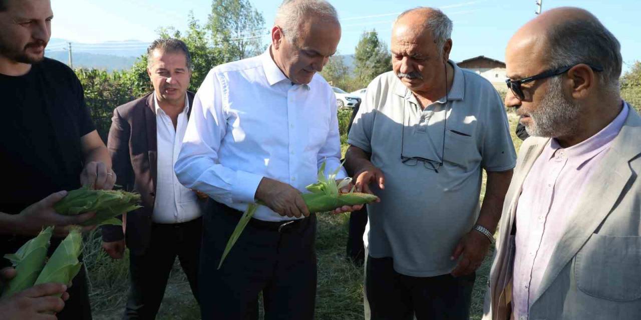 Başkan Özlü “Gelecek Yıl 30 Dönüm Alanda Çeltik Yetiştireceğiz”