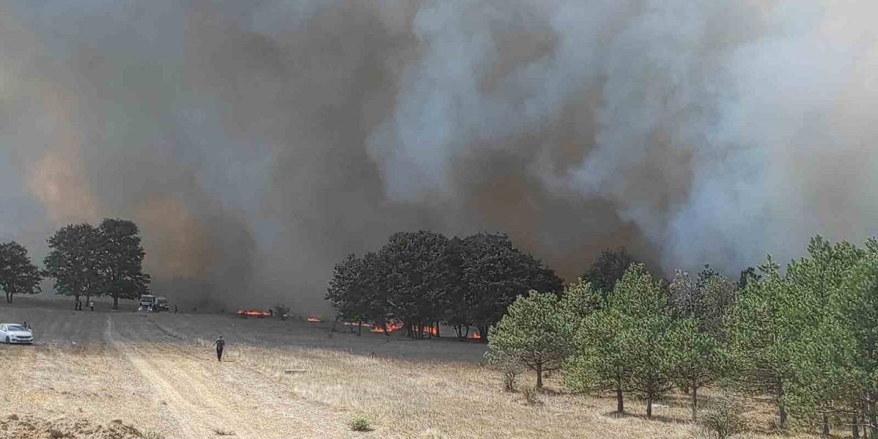 Rüzgar, Ormandaki Söndürme Çalışmalarını Zorlaştırıyor