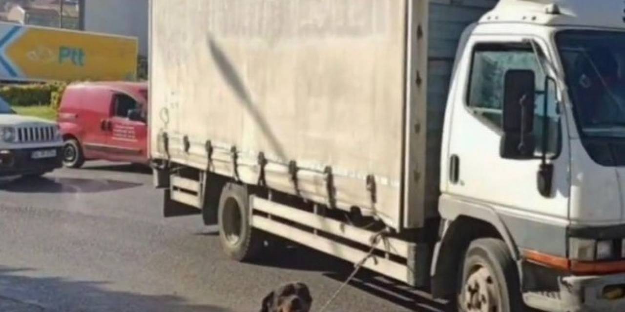 Bağcılar’da Köpeği Kamyonete İple Bağlayan Sürücüye Para Cezası