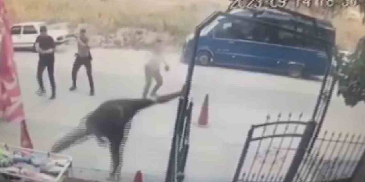 Polisi Bıçakla Yaralayan Hırsız Bacaklarından Vurularak Etkisiz Hale Getirildi