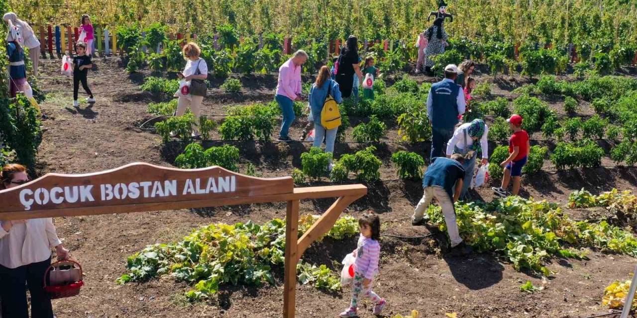 Keçiören’de Kreş Öğrencileri Bostanda Hasat Yaptı