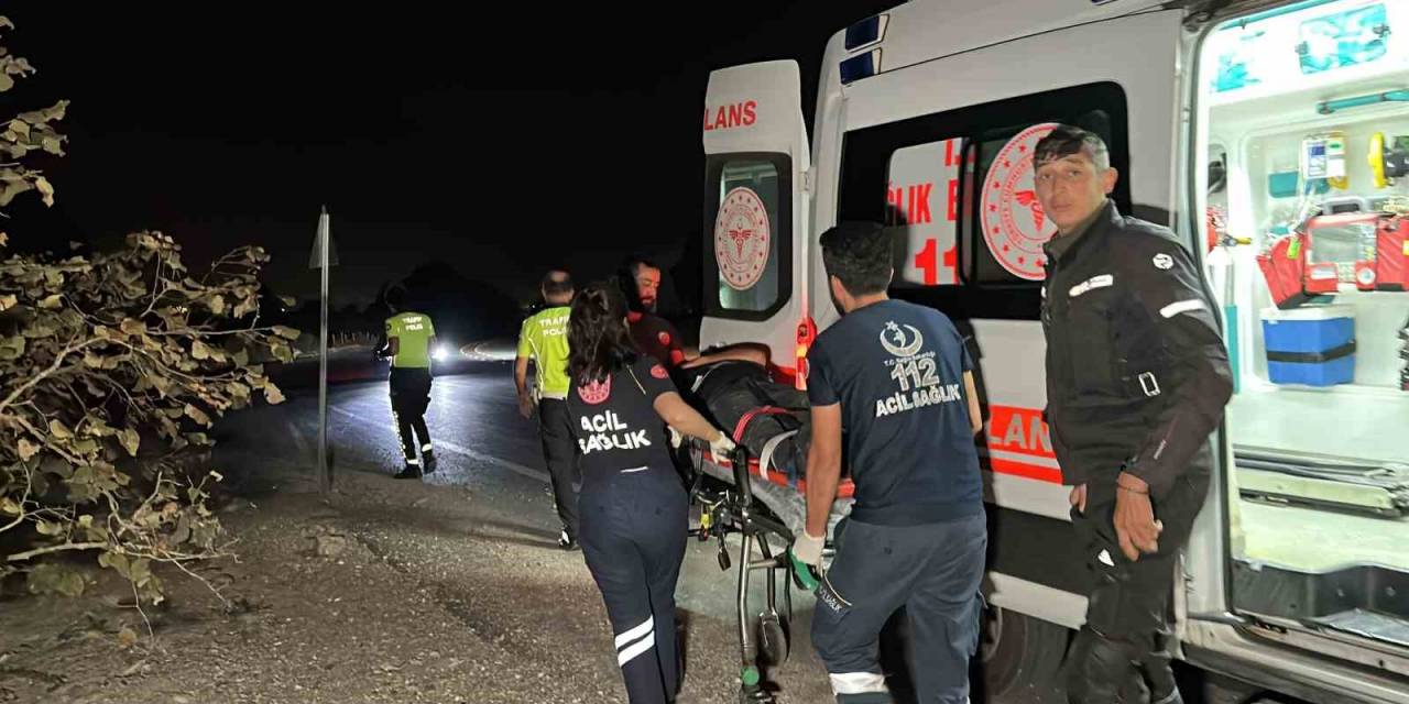 Trafik Tabelasına Çarpan Motosiklet Fındık Bahçesine Uçtu: 1 Yaralı
