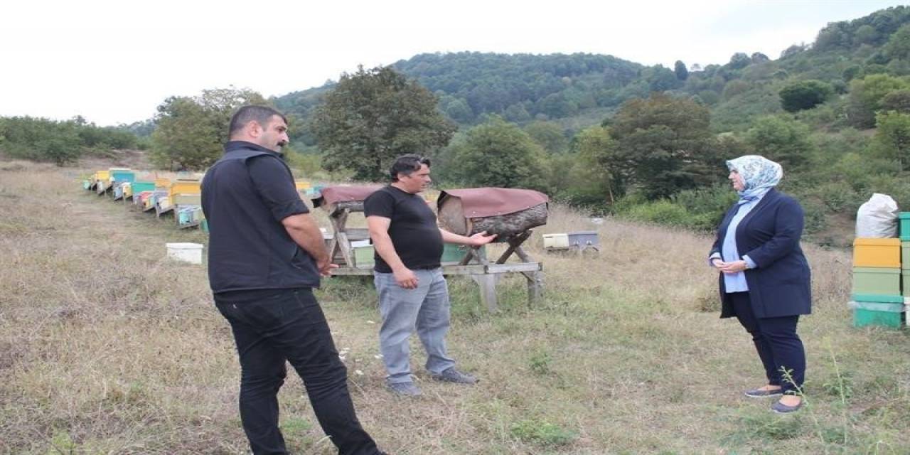 Bal Arısı Üretim Sahası İncelendi