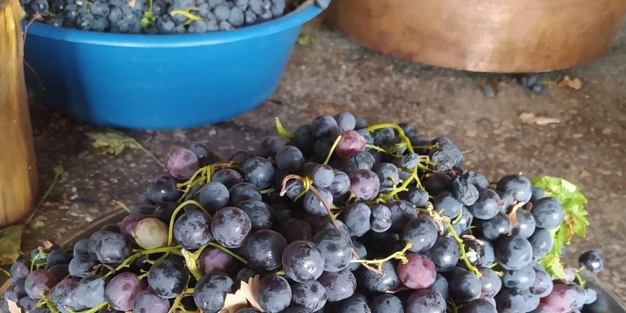 Gercüş’te Üzüm Pekmezi Yapımına Başlandı