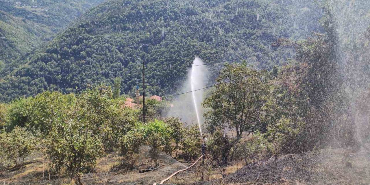 Kastamonu’da Anız Yangını Ormana Sıçramadan Söndürüldü