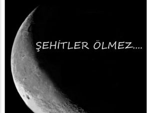 Mesut Özil’den Şehitlere Vefa