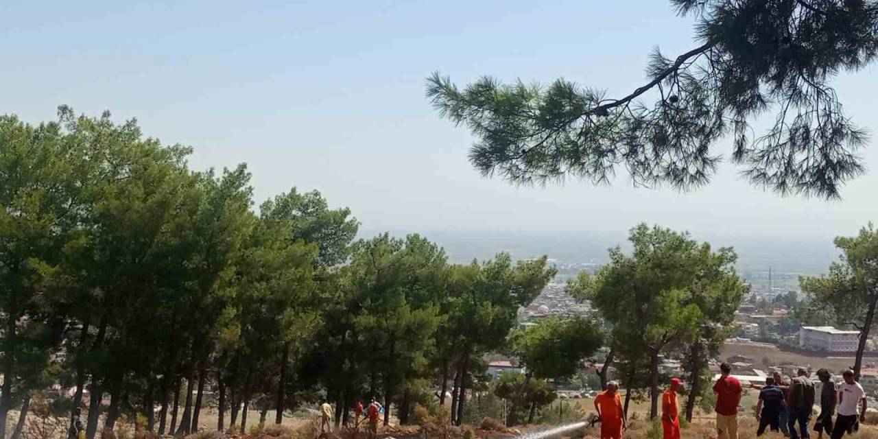 Hatay’da Ormanlık Alandaki Örtü Yangını Söndürüldü