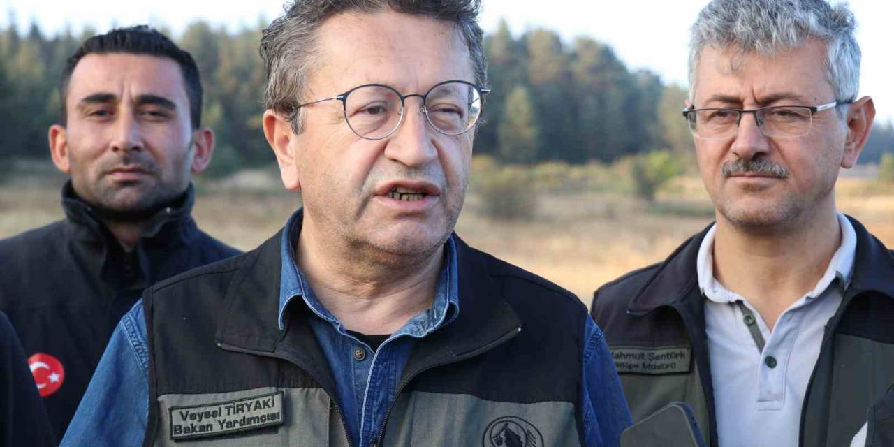 Bakan Yardımcısı Tiryaki: “Yangının Ateşi Söndürüldü”