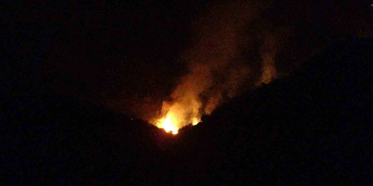 Hatay’da Zeytinlik Alanda Çıkan Yangın Ekiplerin Çalışmasıyla Kontrol Altına Alındı