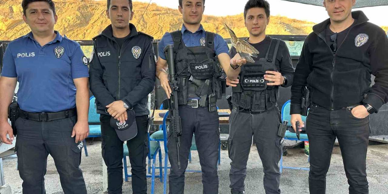 Polisten Balaban Kuşuna Şefkat Eli